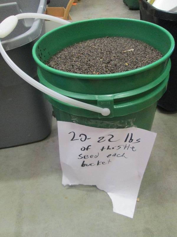 lot 91 image: 20-22 Lbs of thistle seed ...