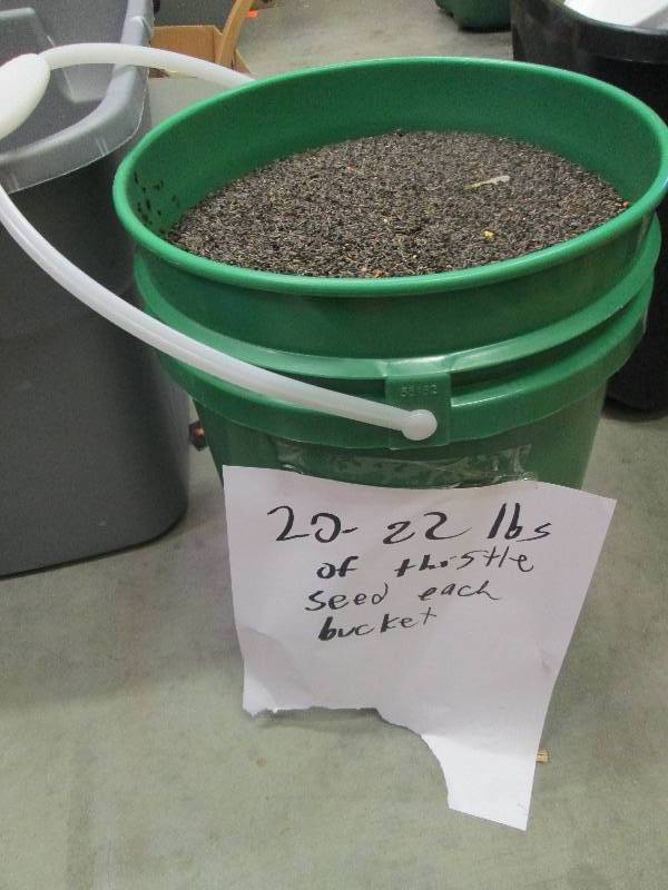 lot 92 image: 20-22 Lbs of thistle seed ...