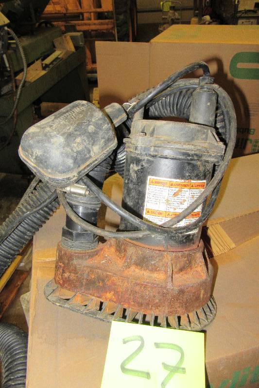 Heavy Duty Teel 3. H.P. Sump pump and hose