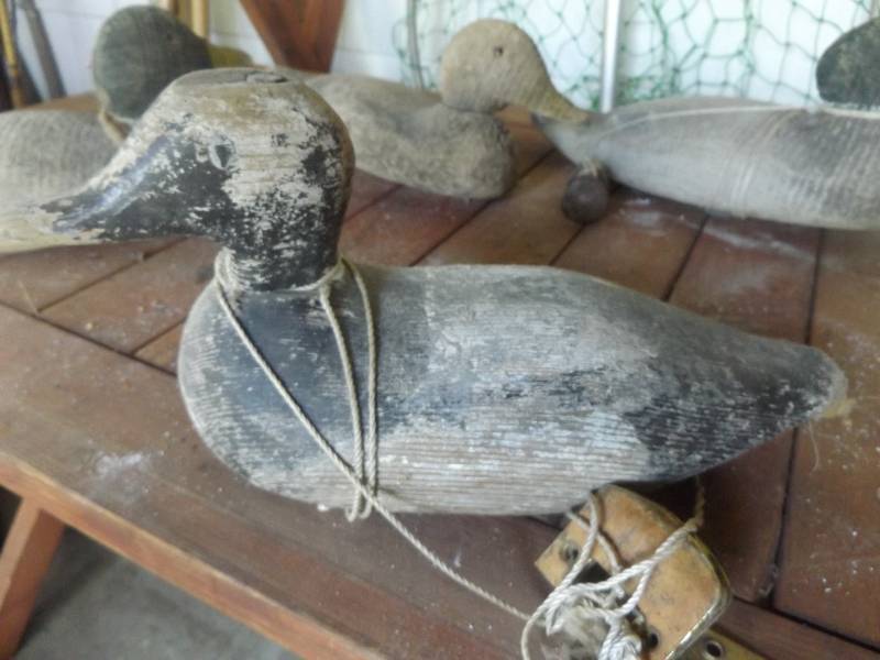 Duck Decoy