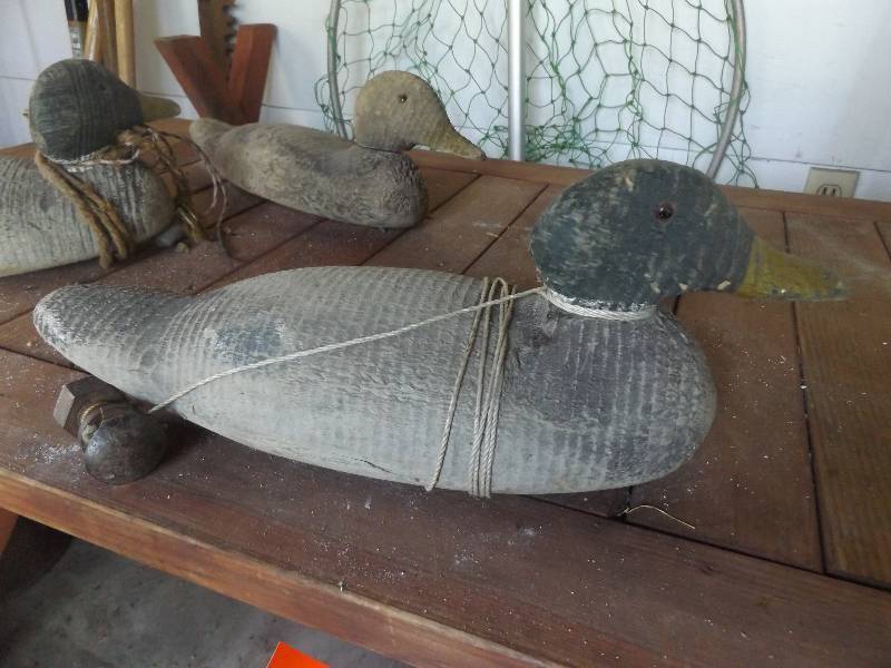 Duck Decoy