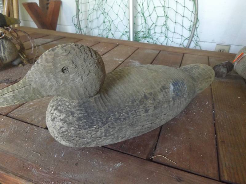Duck Decoy