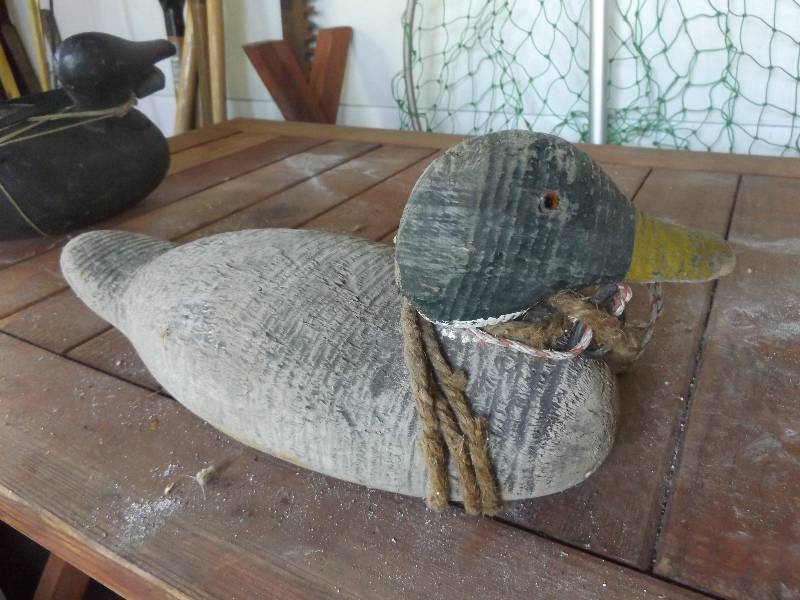 Duck Decoy