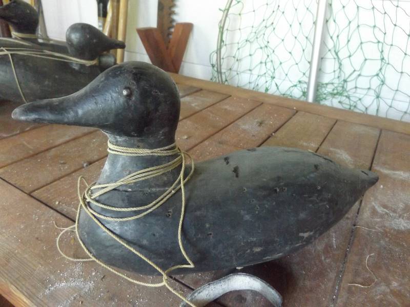 Duck Decoy