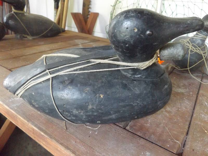 Duck Decoy