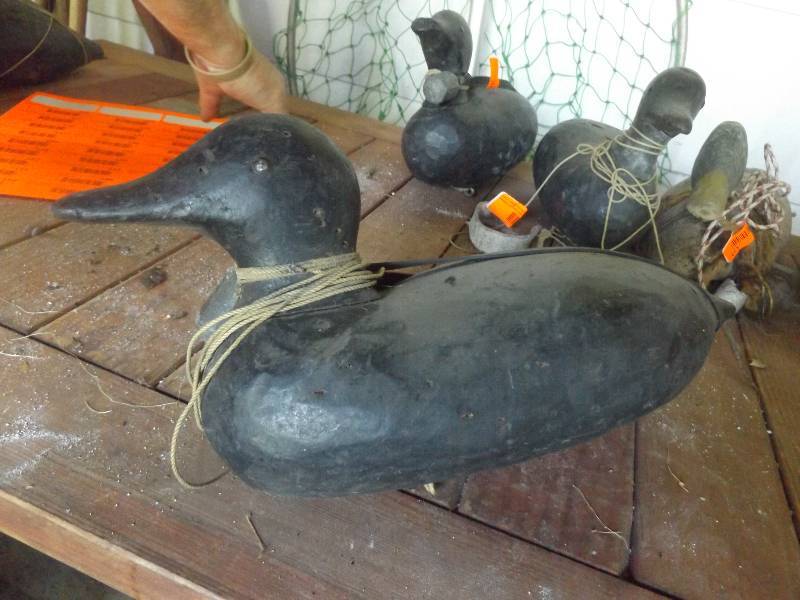 Duck Decoy