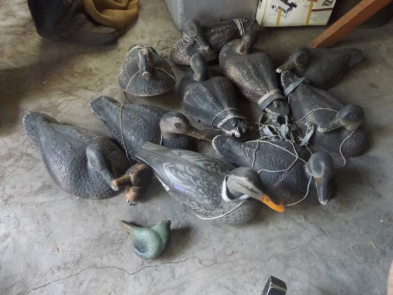 Duck Decoys