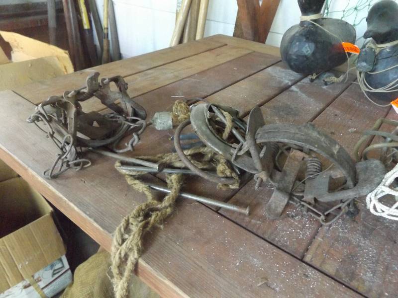 Decoy weights and traps