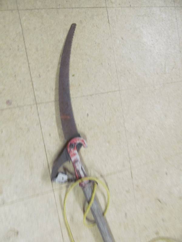 Limb Saw