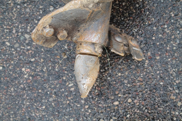 Dingo Auger Bit 9 inch