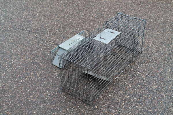 Traps