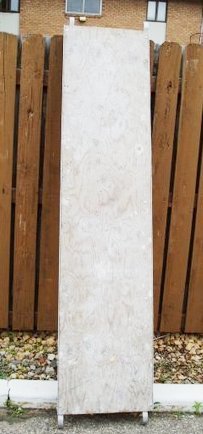 scaffold