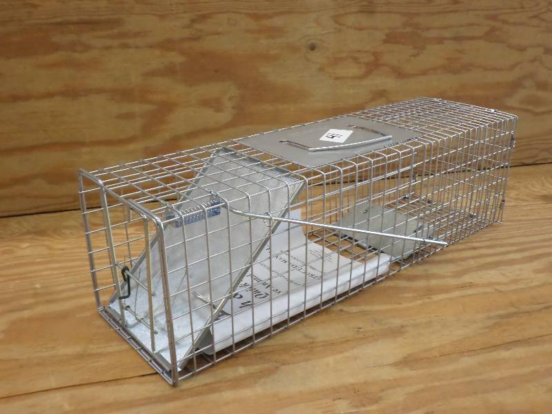 New Advantek Mid-Sized Animal Live ...