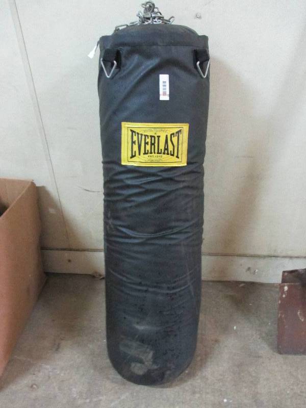 lot 27 image: Everlast punching bag