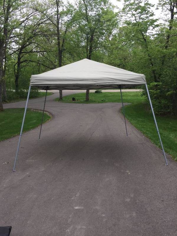 lot 2 image: 10 x 10 Canopy