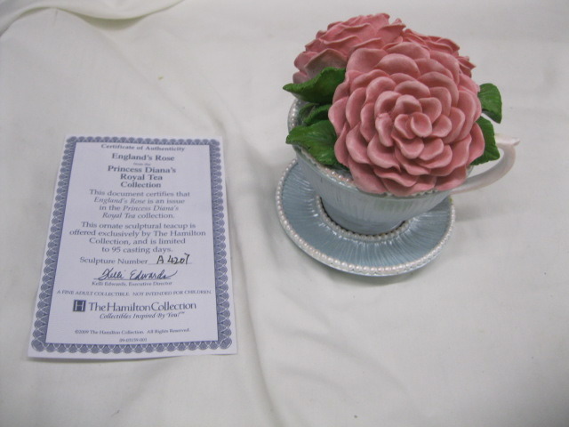 Princess Diana Rose