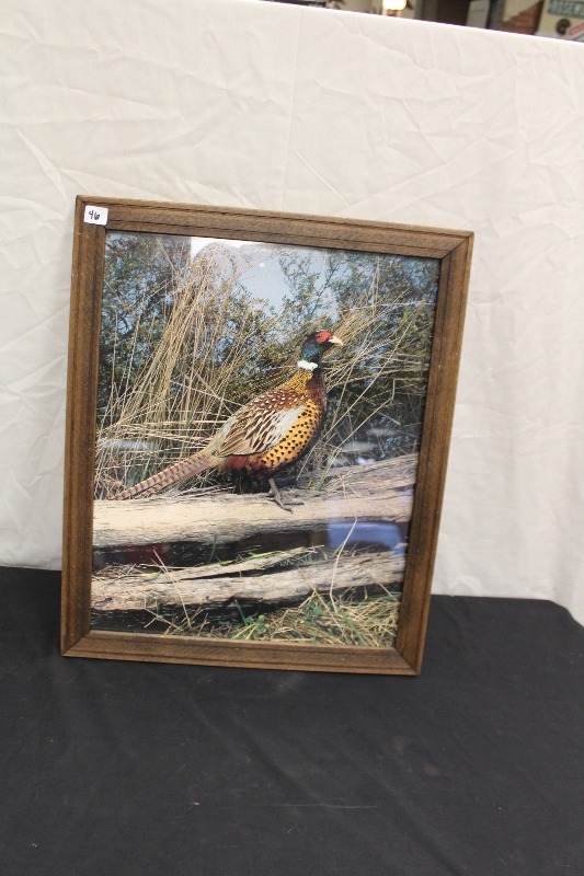 Print in Frame