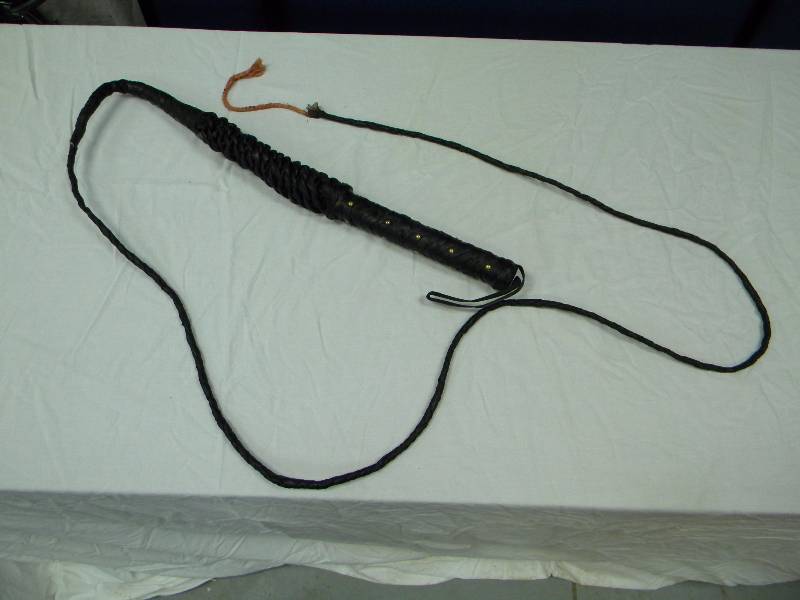 lot 11 image: Bullwhip
