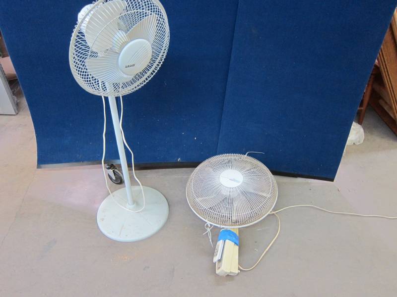 Fans