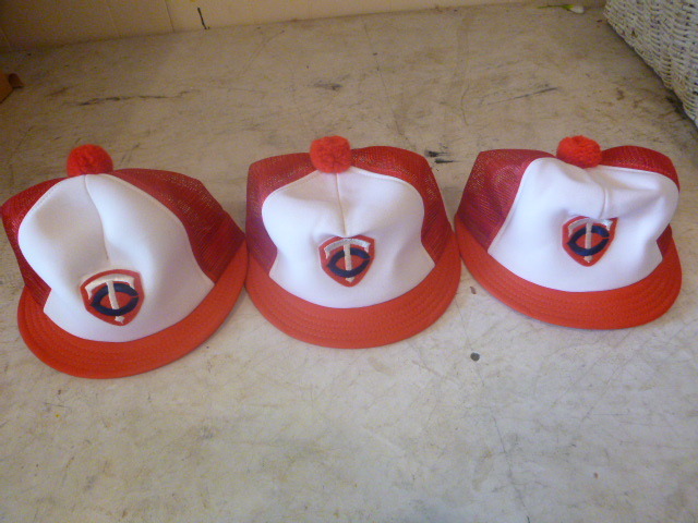 3 Minnesota Twins Caps