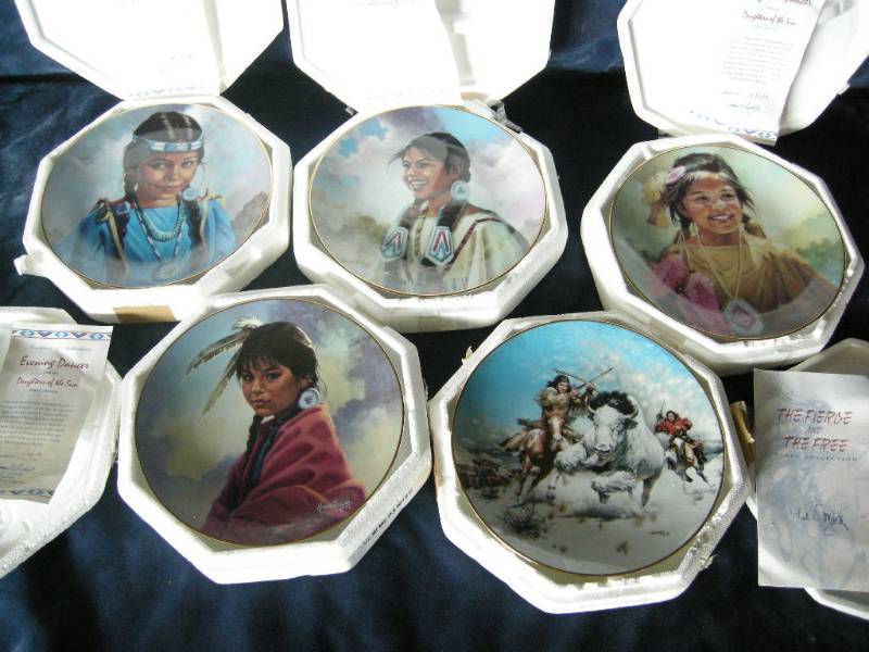 lot 8 image: 5 Native American Collector plates
