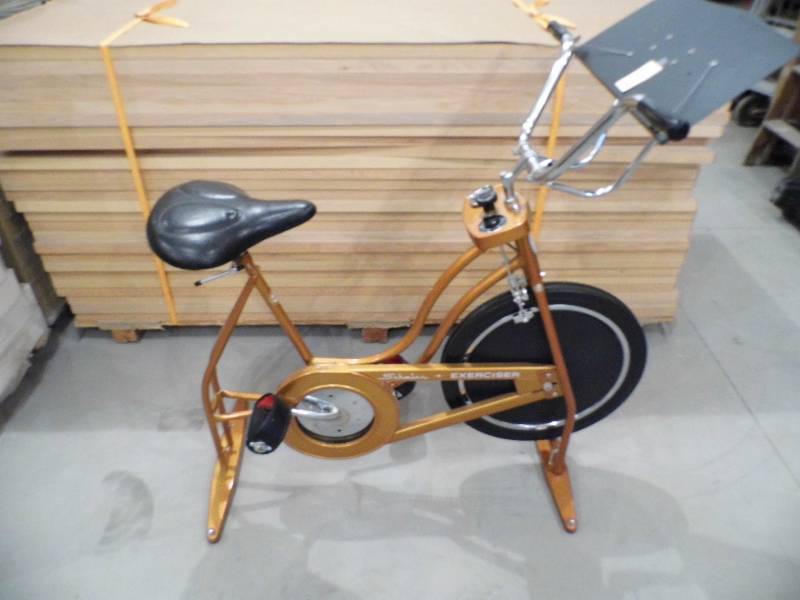 Schwinn Exerciser Bike