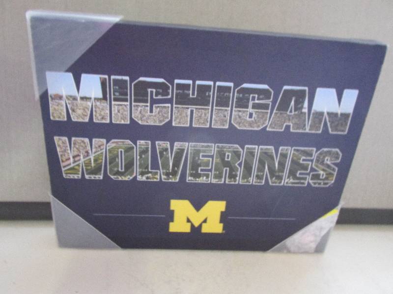 lot 78 image: Michigan wolverines painted canvas ...