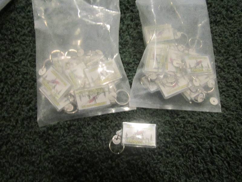 lot 254 image: aprox 20 keychains...