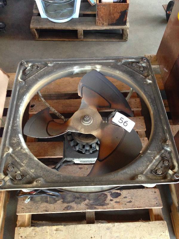 Fan