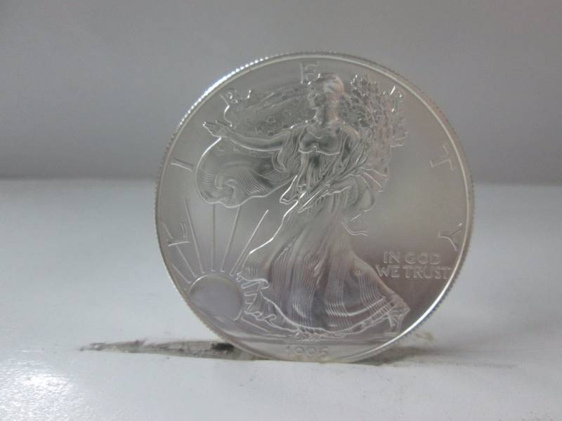 lot 12 image: 1996 Silver American Eagle