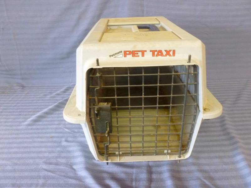 lot 159 image: Pet Taxi