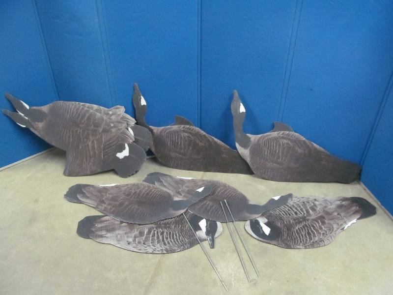 Decoys