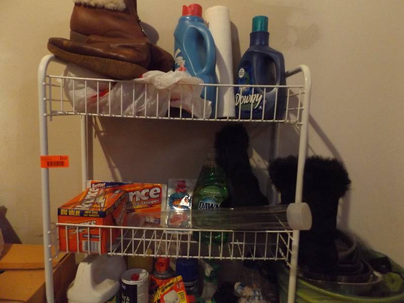 Rolling Rack and its contents, bug spray and planters