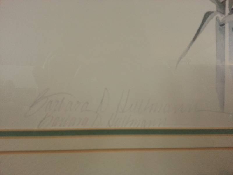 lot 23 image: Beautiful Flower Art - Signed Barbara D. Huthmann
