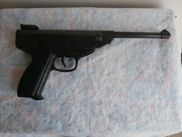 Pellet Pistol