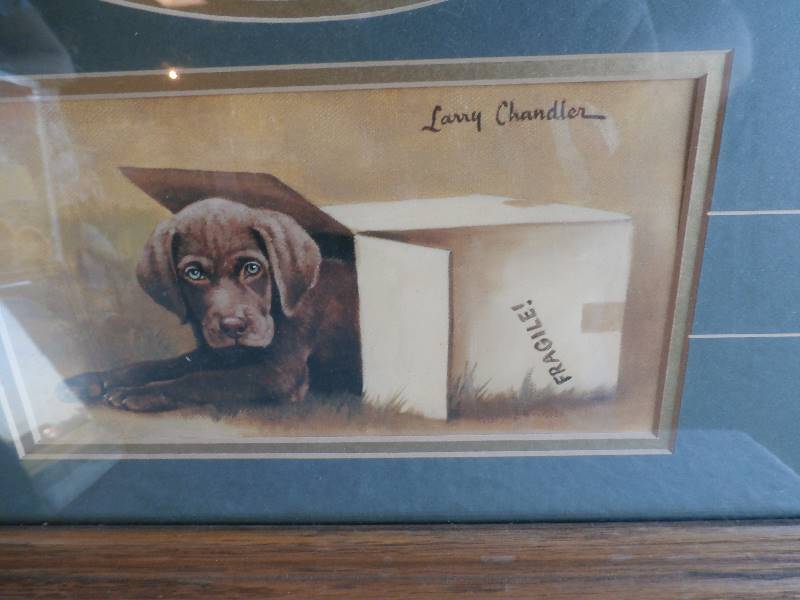 Black Lab Print
