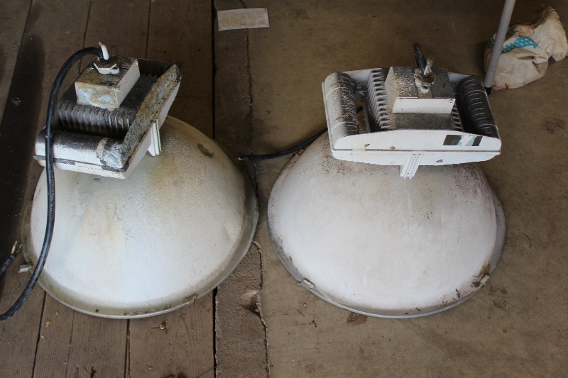 Pair of Shop Lights