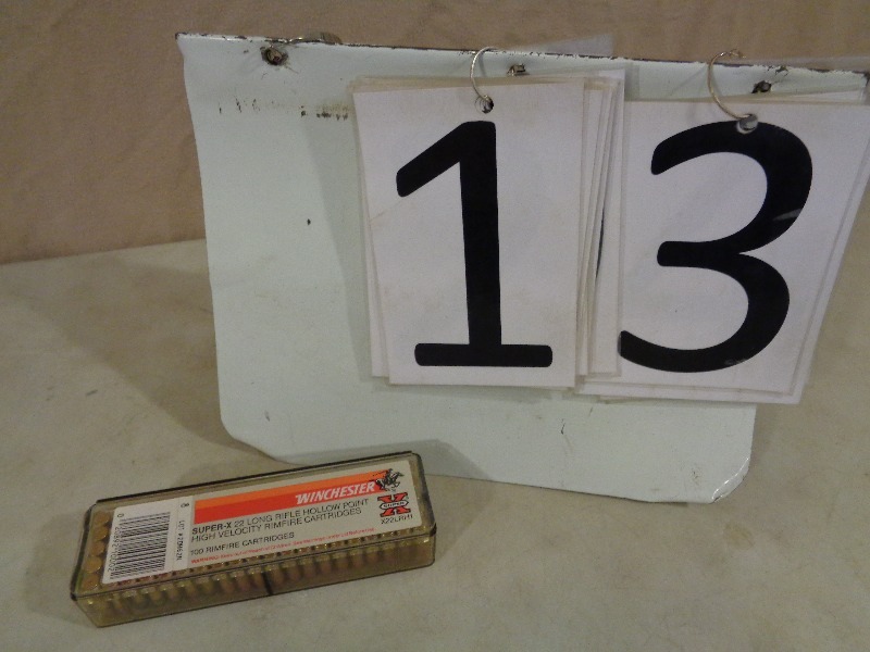 lot 13 image: 100 Rounds of 22 LR Hollow Point