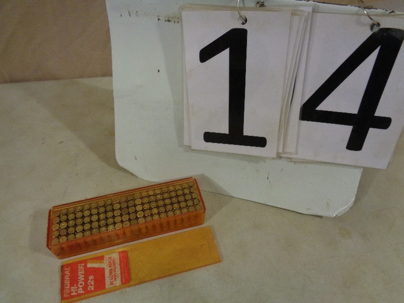 lot 14 image: 100 Rounds of 22 LR