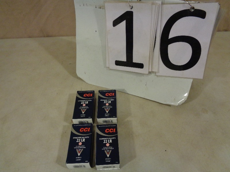 lot 16 image: 200 Rounds of 22 LR