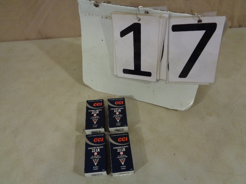 lot 17 image: 200 Rounds of 22 LR
