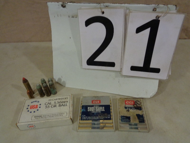 lot 21 image: Assorted Ammo