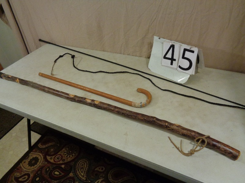 lot 45 image: Walking Stick, Whip, and Cane