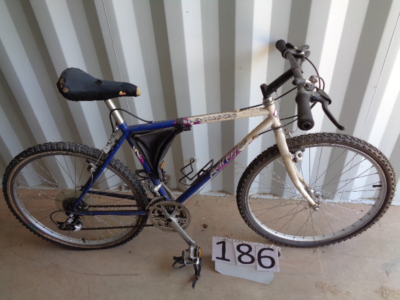 lot 186 image: Mountain Bike