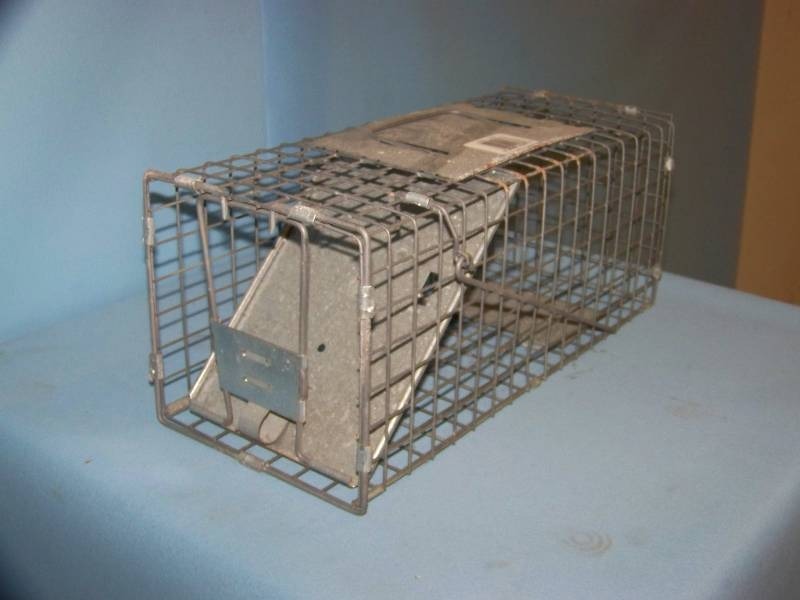 Metal, Live Rodent  Animal Trap