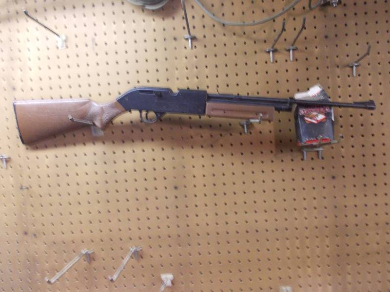 lot 114 image: Pellet Gun