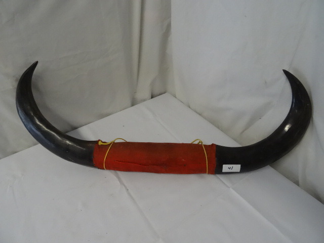 lot 41 image: Horn