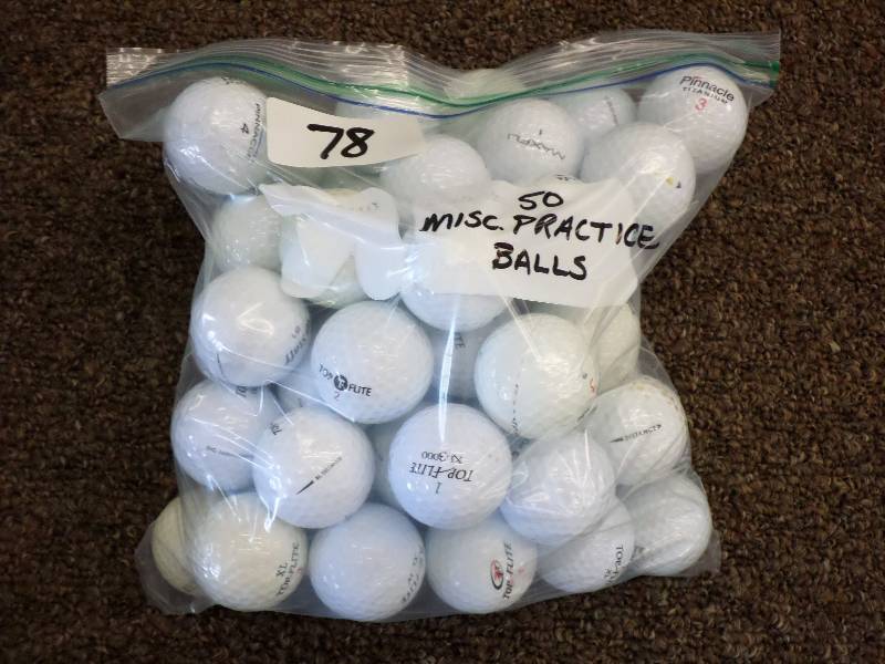 lot 78 image: (50) Misc Practice Balls, Good ...
