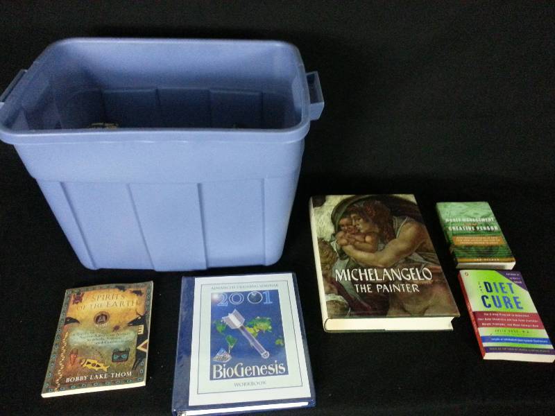 lot 109 image: Tub of Books - Michaelangelo and More