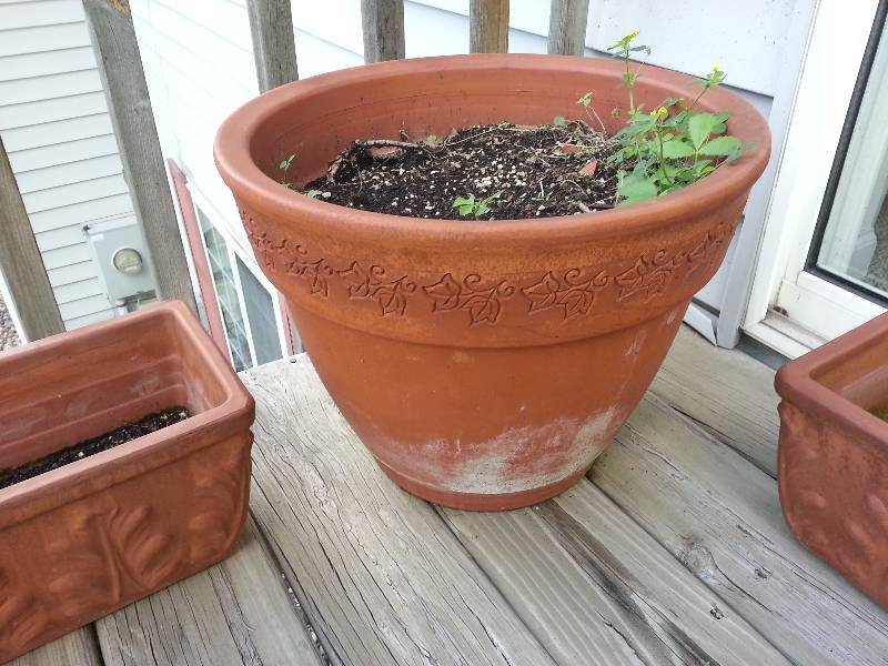 lot 118 image: Lot of (3) Terra Cotta Planters